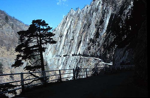 Strada del Vallone