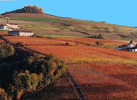Die Langhe im Herbst
